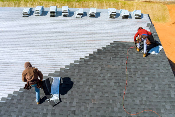 Best Local Roofing Companies  in Burton, SC