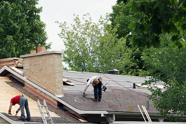 Best Storm Damage Roof Repair  in Burton, SC