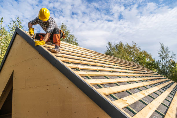 Best Gutter Installation and Roofing  in Burton, SC