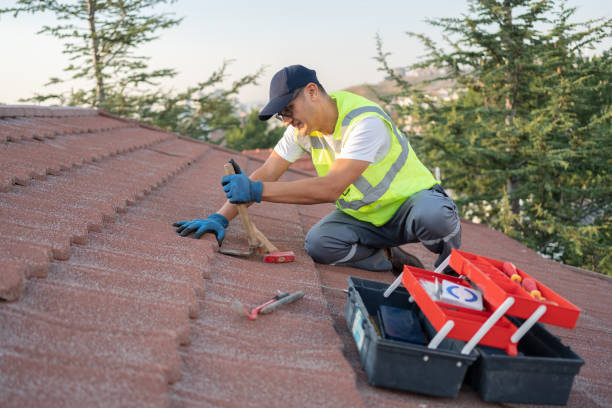 Best New Roof Installation  in Burton, SC
