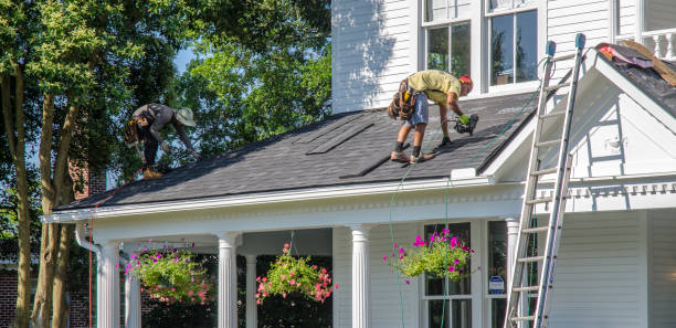 Best Roof Gutter Cleaning  in Burton, SC