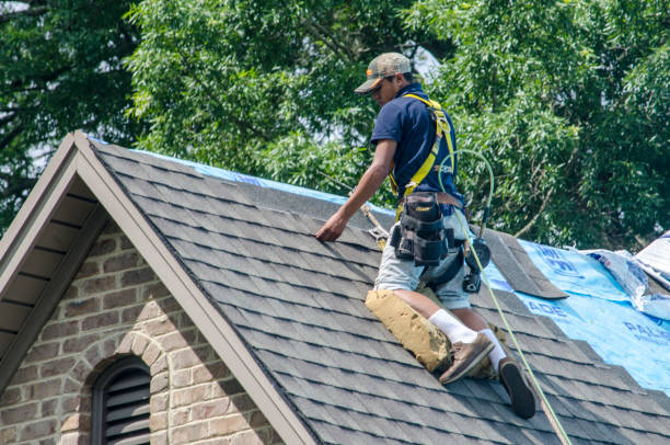 Best Roof Restoration Services  in Burton, SC